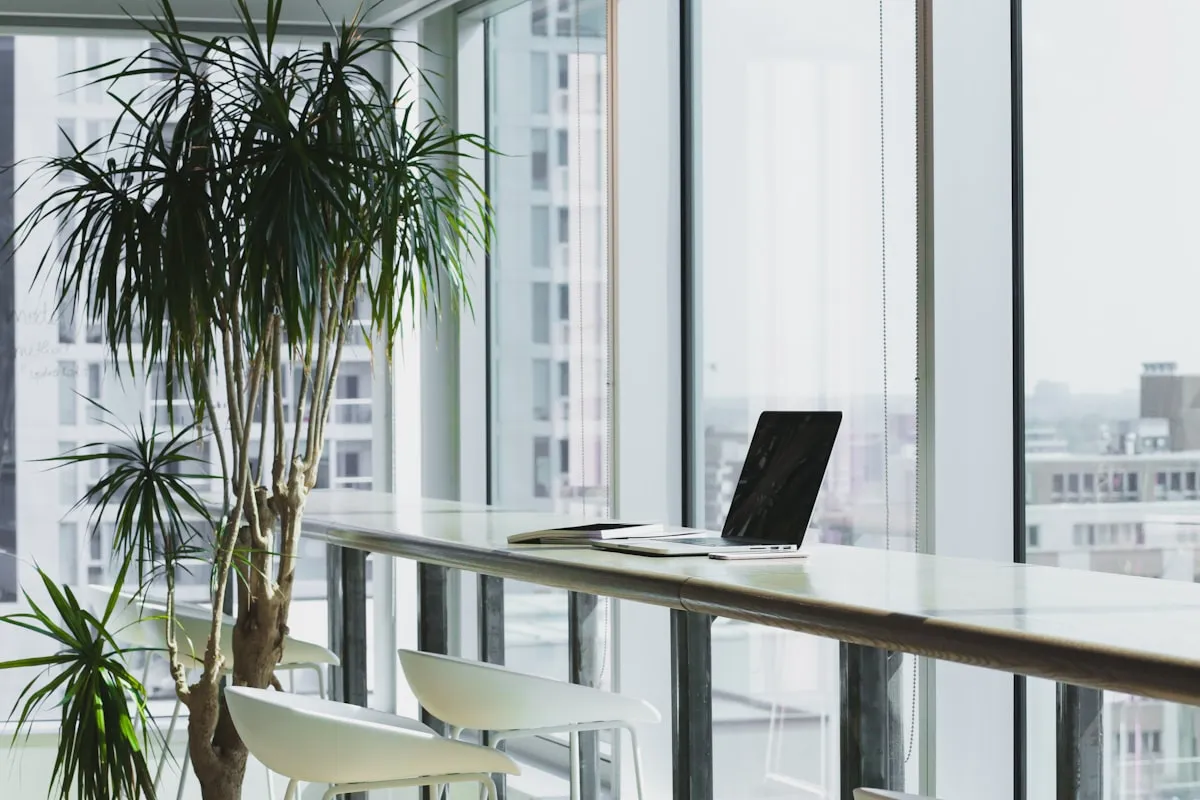 Think You’re Better Off On Your Own? Begin Your Entrepreneurship Career!
